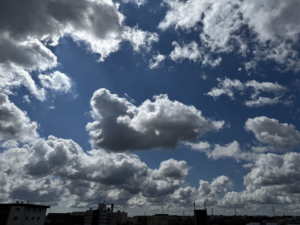 脳梗塞になってから利用できる保険制度まとめ