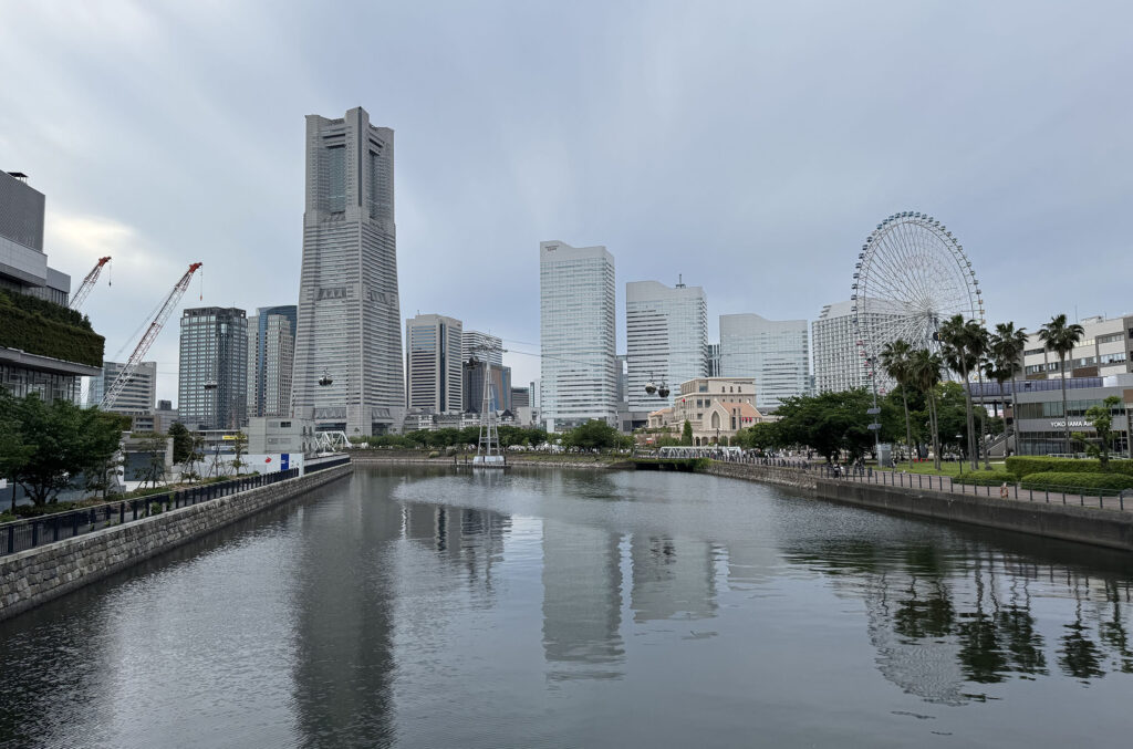 主治医から説明されたラクナ梗塞の診断内容をまとめた記録