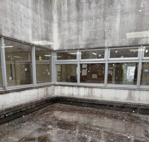 病院の中庭に雪が降り、コンクリートの床に静かに落ちていく様子